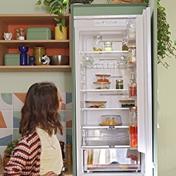 Fridges