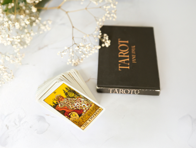 wanderlust e European Appliances Italy SRL