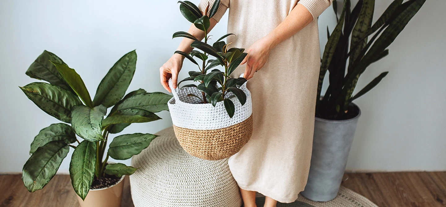 Les bienfaits de la nature à la maison