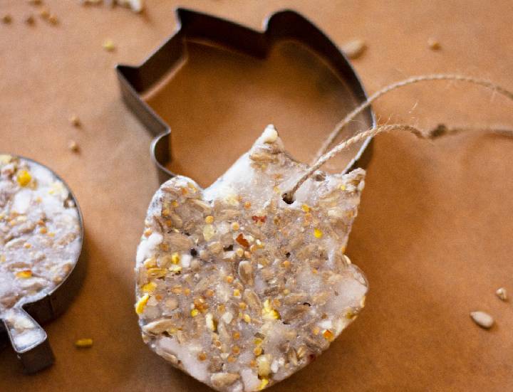 Selbstgemachter Vogelfutteranhänger