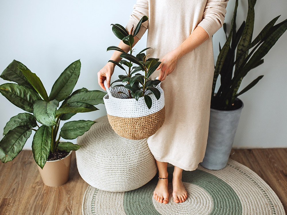 Mujer mostrando sus mejores plantas de interior
