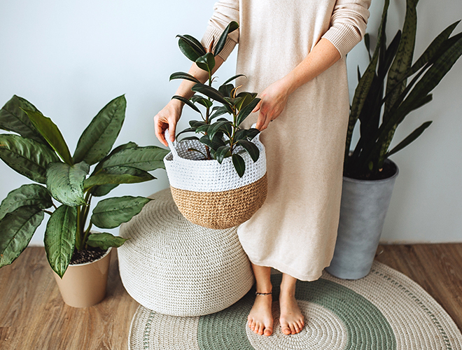 Une femme montre ses plus belles plantes d'intérieur