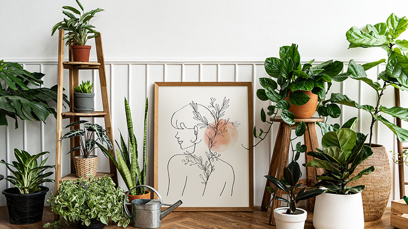 Kamer versierd met kamerplanten