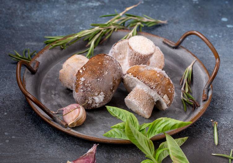 Pilze einfrieren – So bleiben die Pilze frisch und aromatisch