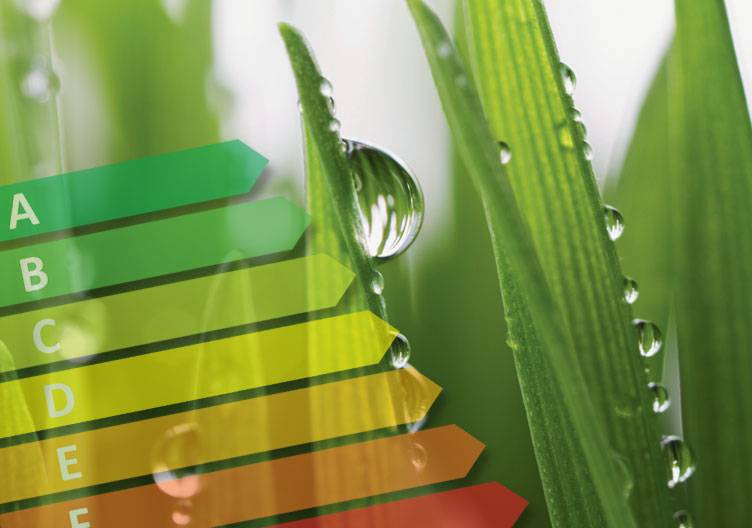 Sparsam waschen: So sparen Sie Wasser und Strom bei der Wäsche