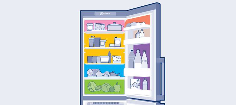 Welches Lebensmittel gehört wohin im Kühlschrank?