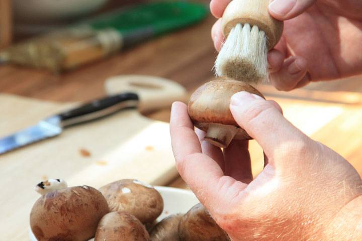 Pilze einfrieren: Grundlagen