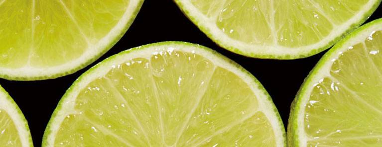 KÜHLSCHRANKGERUCH VERMEIDEN