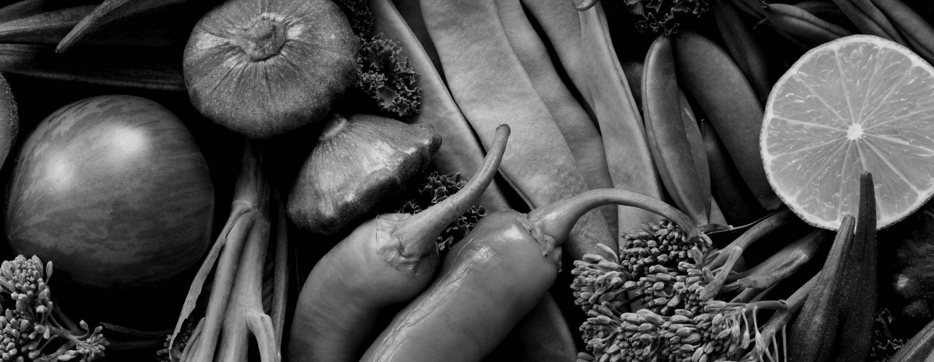 FUNKTIONEN & DESIGN TOTAL NO FROST GERÄTE