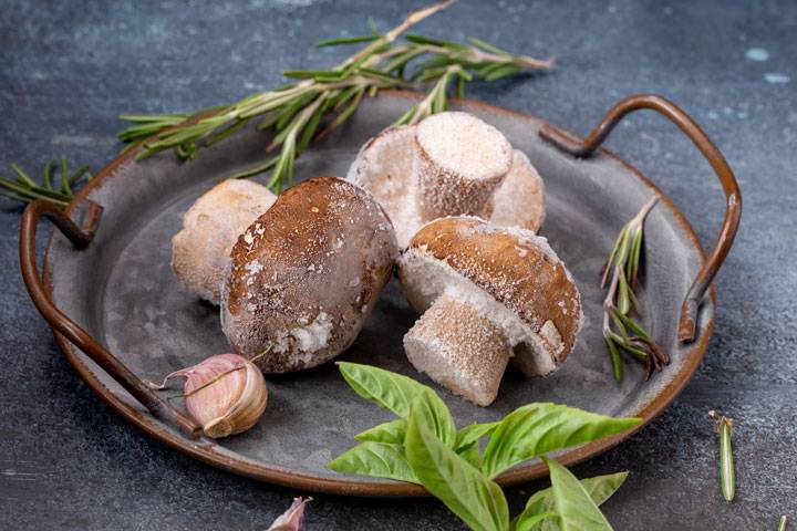 PILZE EINFRIEREN – SO BLEIBEN DIE PILZE FRISCH UND AROMATISCH