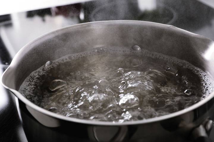 Pilze gekocht einfrieren