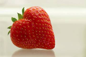 WIR FEIERN EIN JAHRHUNDERT FREUDE AN FRISCHEN LEBENSMITTELN