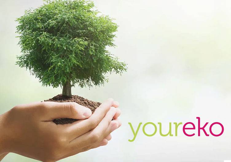 Energie sparen mit Youreko