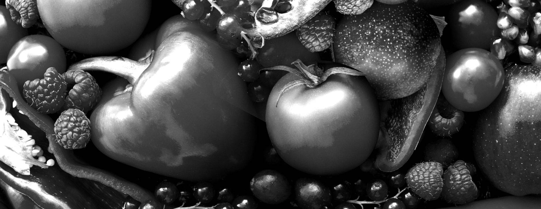 FUNKTIONEN für maximale Frische