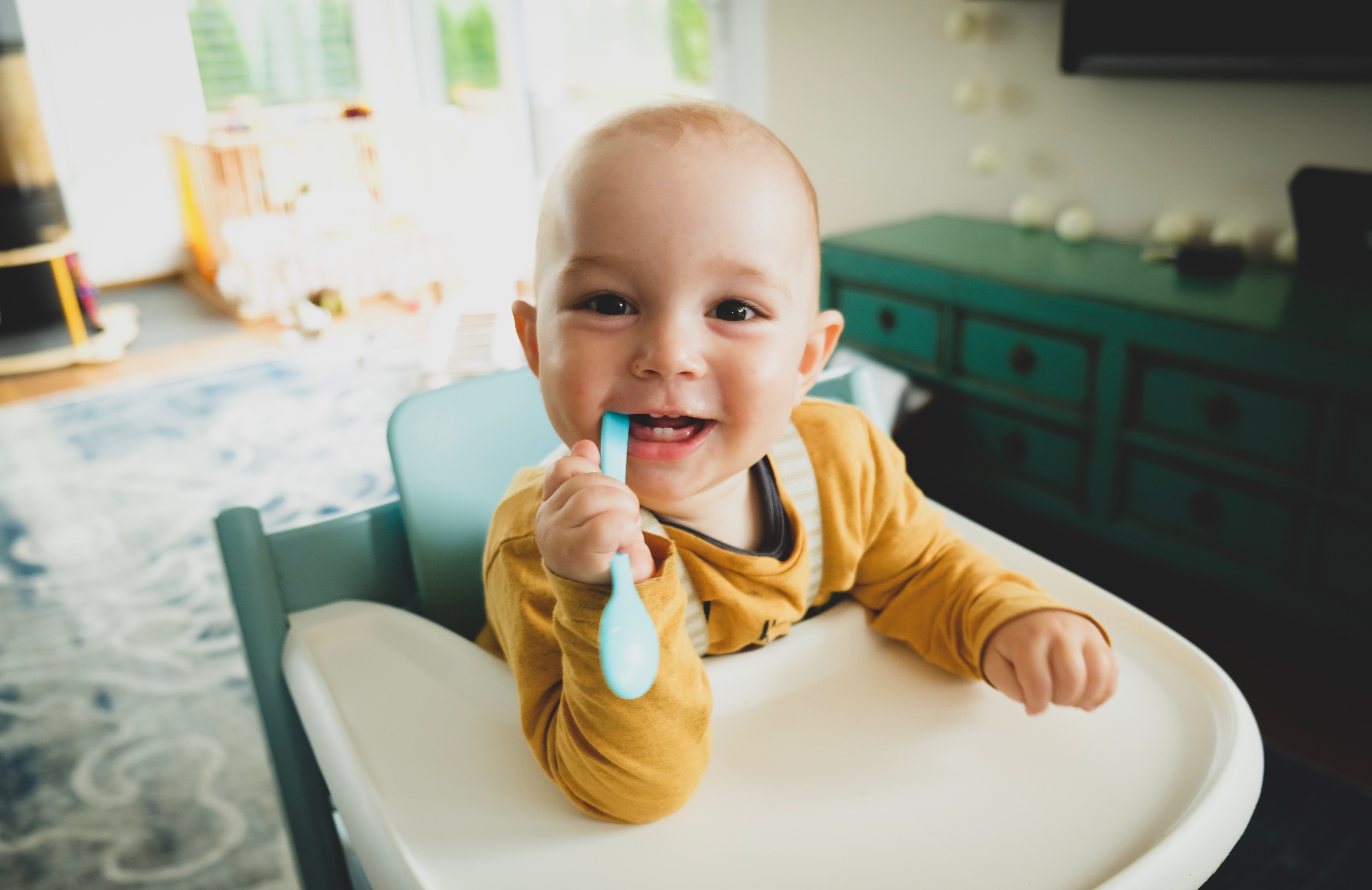 gemak Commandant ondernemer Blender voor babyvoeding | KitchenAid | KitchenAid NL