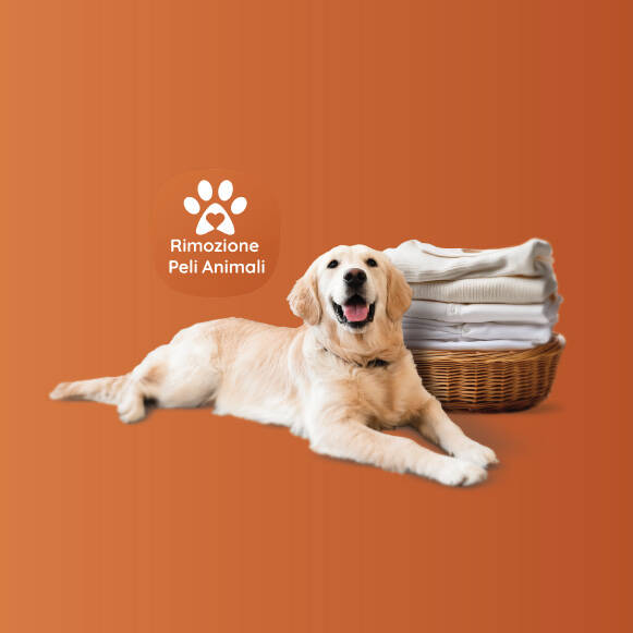 PetHair Care: senza peli con amore