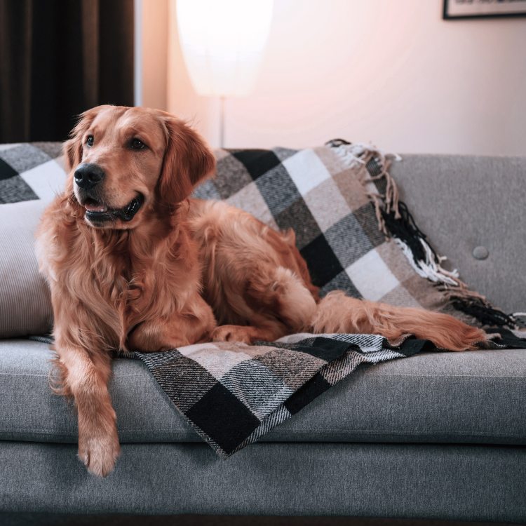 Healthcare Programs on washer