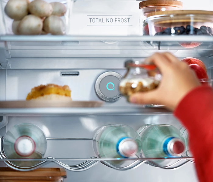 Total no frost: your fridge