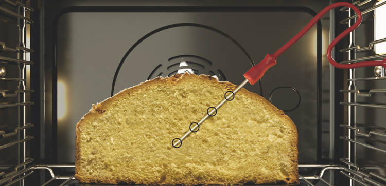 Teplotní sonda MultiSense