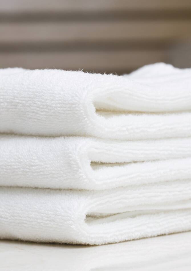 Funkcja SteamHygiene