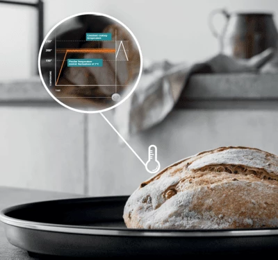 CONTROLLO ELETTRONICO DELLA TEMPERATURA