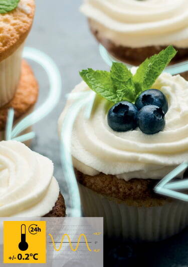 Cupcake de arandonos frio