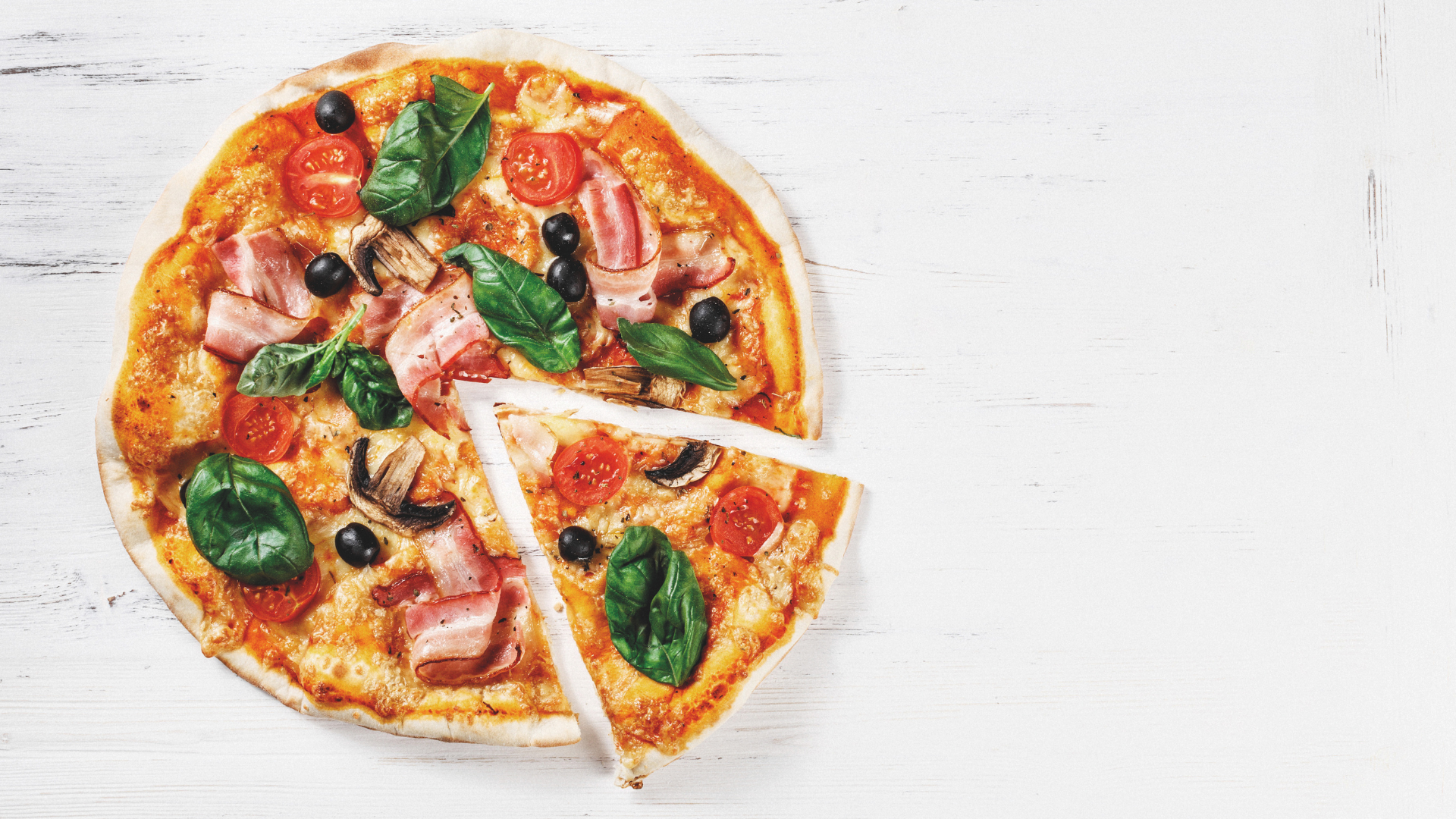 Cuissons jusqu’à 310°C, idéales pour les recettes de chef