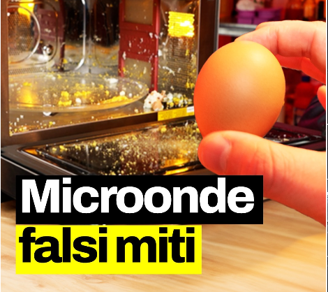 MICROONDE: FALSI MITI