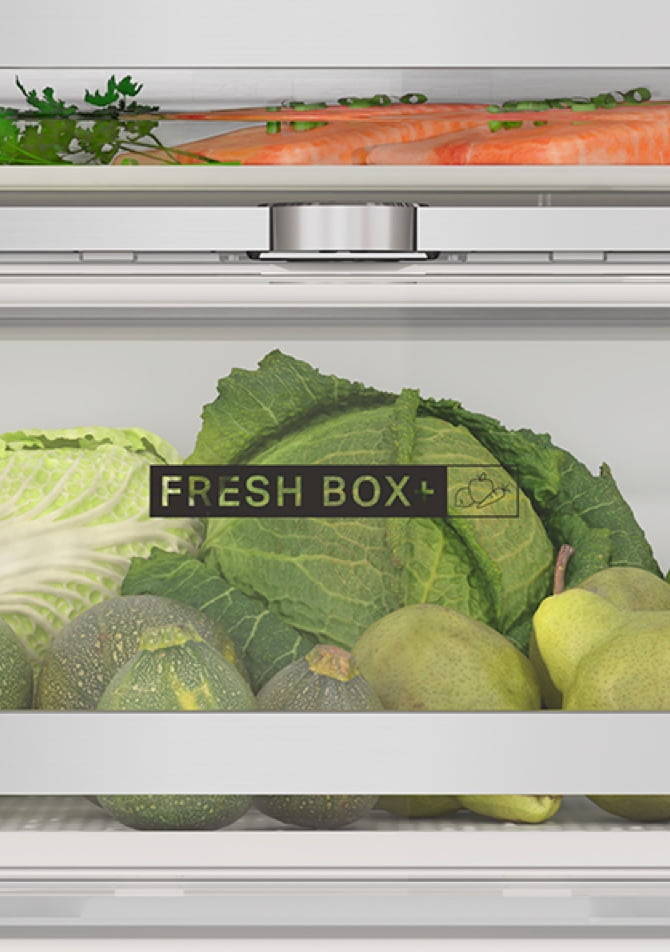 Fresh Box+