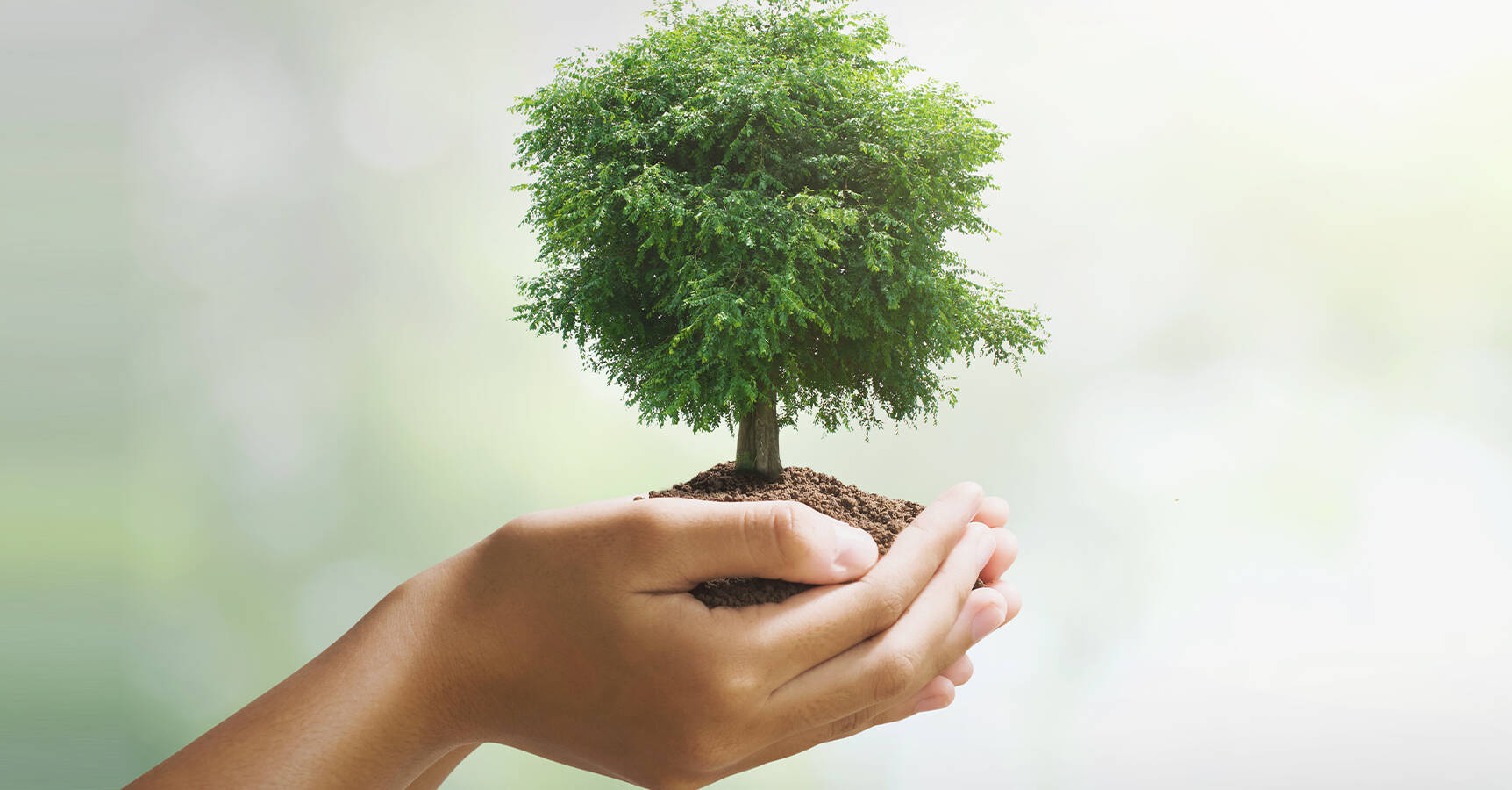 Risparmia con i nostri elettrodomestici! Scopri come con Youreko