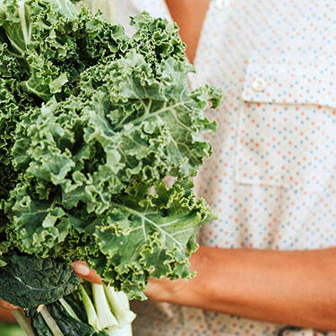 Técnicas de Cozinha