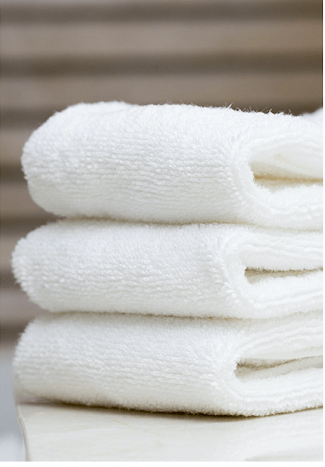 SteamHygiene